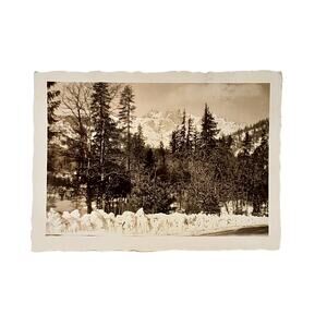 Vtg B&W Photo Found 1940 Canada Trees Nature Mountain Rocks Scenery Snapshot